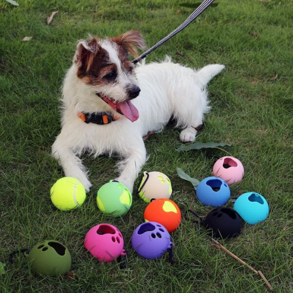 Pungi Pet Ball Holder Hands-Free Dog Ball Holder with Dog Leash Pet Ball Holder with Hands Free Dog Leash Attachment for Active Pets Easy Installation Pet Supplies(Pink Dark Green Sky Blue)