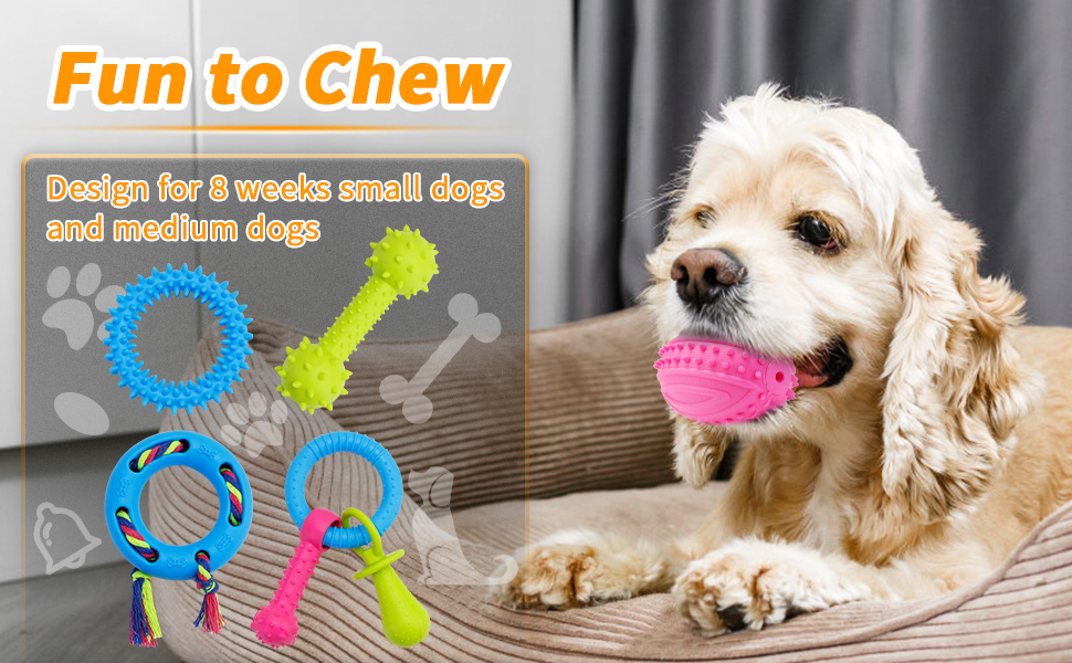 dog toys