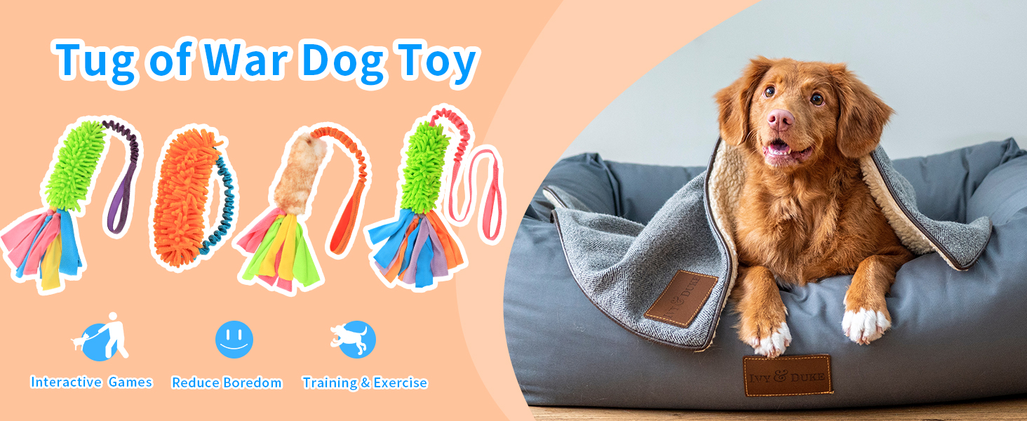 Tug Toy for Dogs