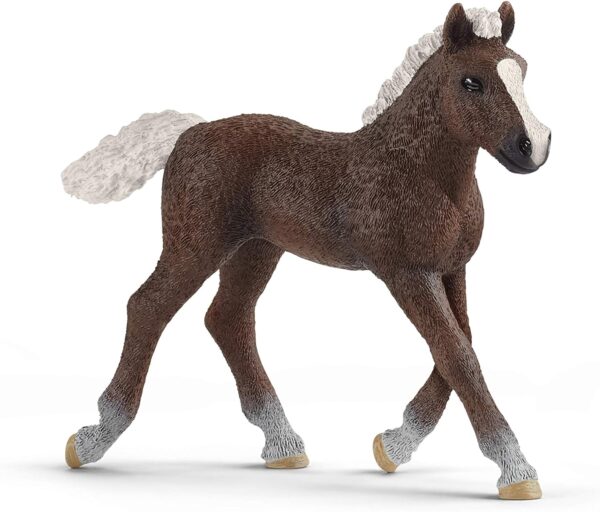 SCHLEICH 13899 Black Forest Foal Farm World Toy Figurine for children aged 3-8 Years