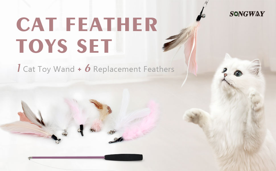 cat feather toy