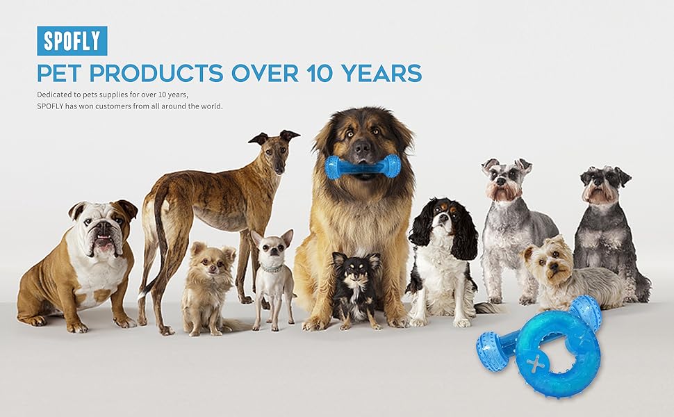 spofly pet products over 10 years