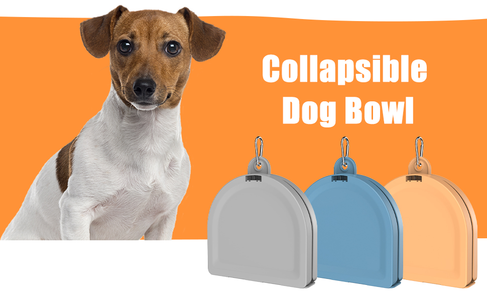 collapsible dog bowl