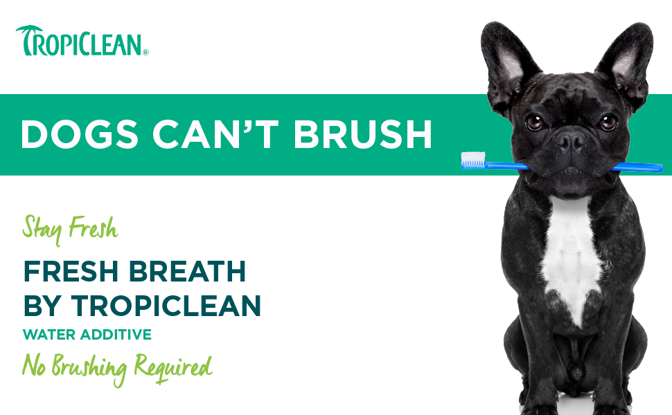 Tropiclean Fresh Breath Water Additive