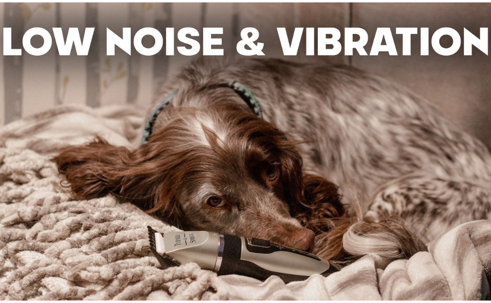 Low Noise and Vibration