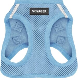 Voyager Step-in Air Dog Harness - All Weather Mesh Step in Vest Harness for Small and Medium Dogs and Cats by Best Pet Supplies - Harness (Baby Blue), M (Chest: 16-18")