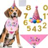 WDEC Dog Happy Birthday Supplies Dog Party Hat Set Dog Birthday Bandana Hat Dog Birthday Decorations with 10 Birthday Numbers for Cute Girl Boy Cat and Dogs (Pink)