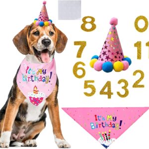 WDEC Dog Happy Birthday Supplies Dog Party Hat Set Dog Birthday Bandana Hat Dog Birthday Decorations with 10 Birthday Numbers for Cute Girl Boy Cat and Dogs (Pink)