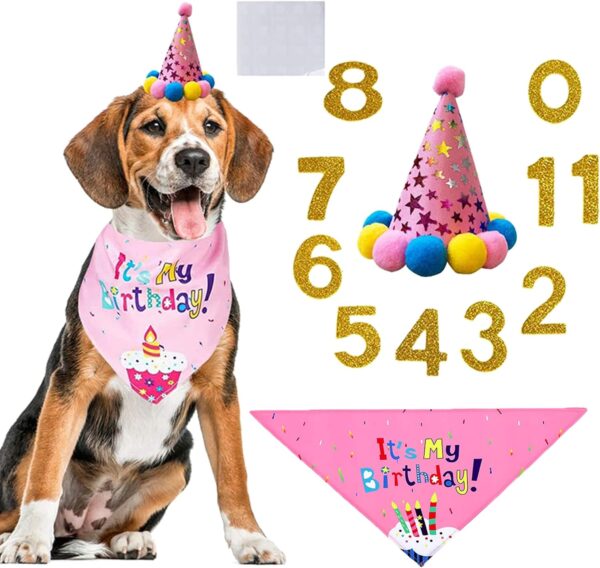 WDEC Dog Happy Birthday Supplies Dog Party Hat Set Dog Birthday Bandana Hat Dog Birthday Decorations with 10 Birthday Numbers for Cute Girl Boy Cat and Dogs (Pink)