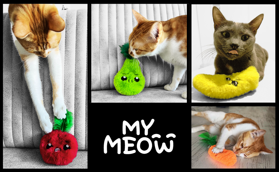 MyMeow Krazy Carrot, Apple, Pear Catnip Toys - Refillable 