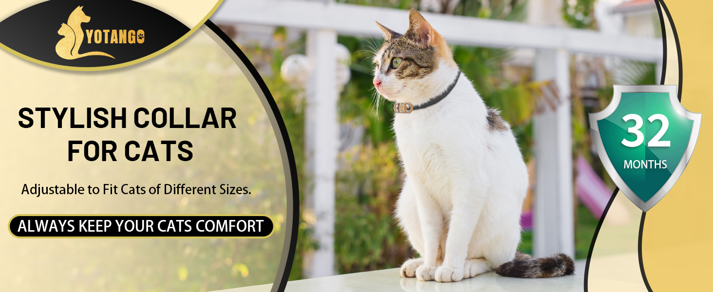 Metal-4Pack Cat Collar