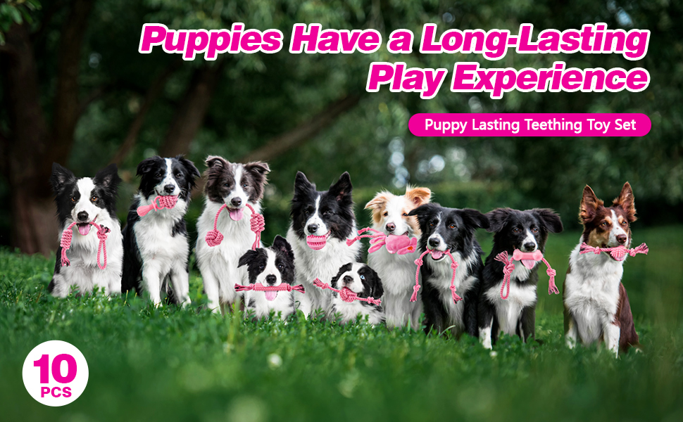 puppy teething toys