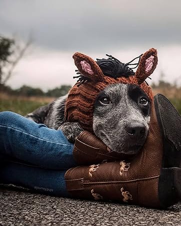 Zoosnoods Horse Dog Costume