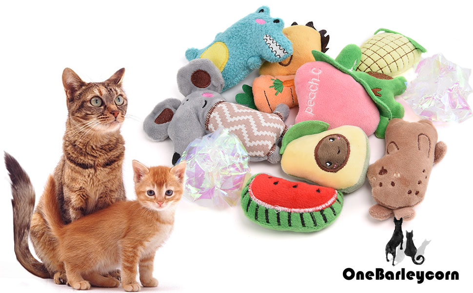 cat toys