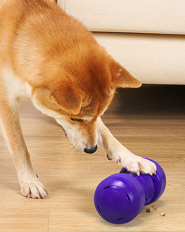 interactive dog toy