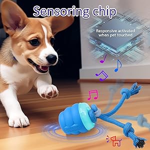 motion dog toys