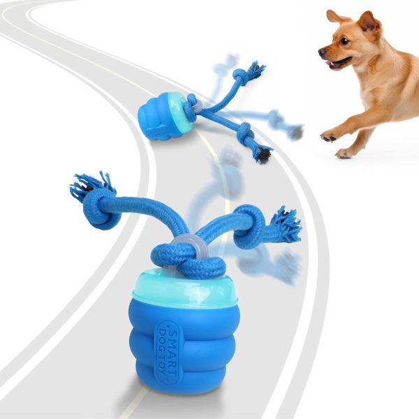 Interactive Dog Toys with Motion Activated, Squeaky Dog Toy Active Rolling Ball Wicked Ball for Daily Training