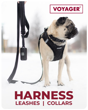 Harness