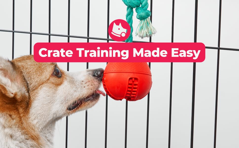 Crate training made easy