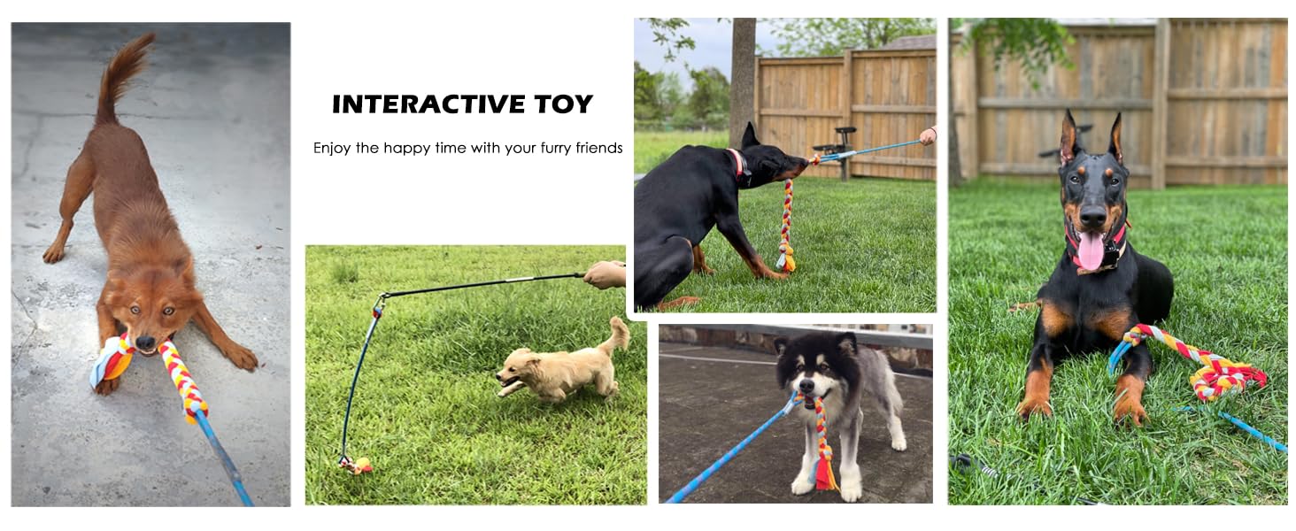 interactive toy