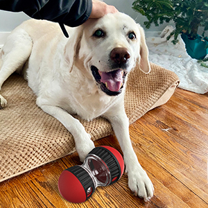 dog enrichment toy rolling ball