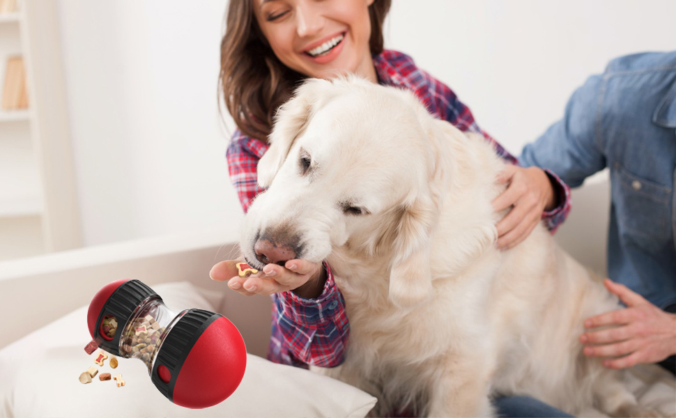 pet treat puzzle toy for treat distribution and training