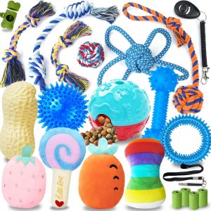 22-in-1 Puppy Teething Chew Toy Set, Dog Toys with Rope, Squeaky Toys & Treat Balls for Small Dogs