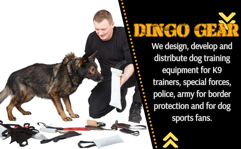 dingo