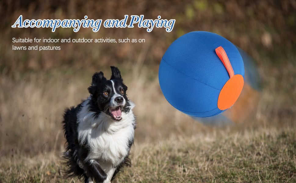 Dog Herding Ball