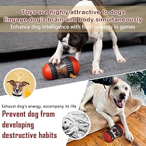 Dog puzzle toys and training