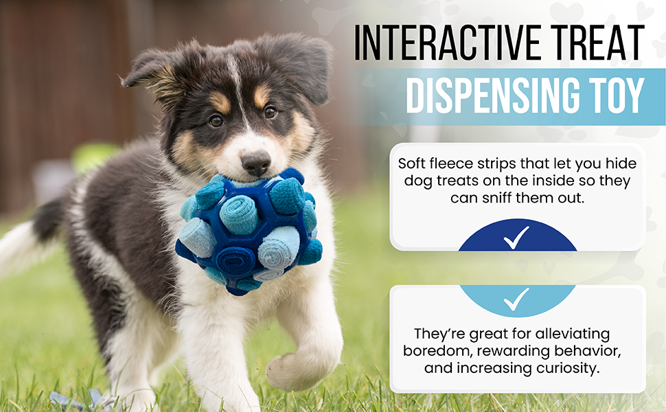 interactive treat dispensing toy