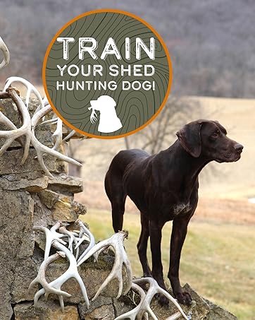 hunting dog accessories dog training kit dog toys duck hunting pheasant hunting blood tracking dog