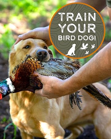 hunting dog accessories dog training kit dog toys duck hunting pheasant hunting blood tracking dog