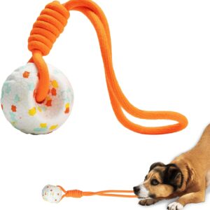 Dog Ball with Rope, Dog Rope Ball for Aggressive Chewers, Durable Tug Ball Toy for Small Medium Large Dog, Interactive Dog Ball Toy for Training Dog Catch and Fetch, Orange, 2.5 inch