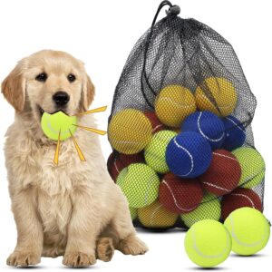 Magicorange Dog Tennis Balls, 20 Pack 2.5 inch Floatable Squeaky Tennis Balls for Fetch Exercise, Natural Rubber Squeaky Dog Balls Training Safe (Multicolor, 2.5inch)