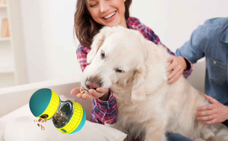 dog slow feeder for small medium large dogs breed