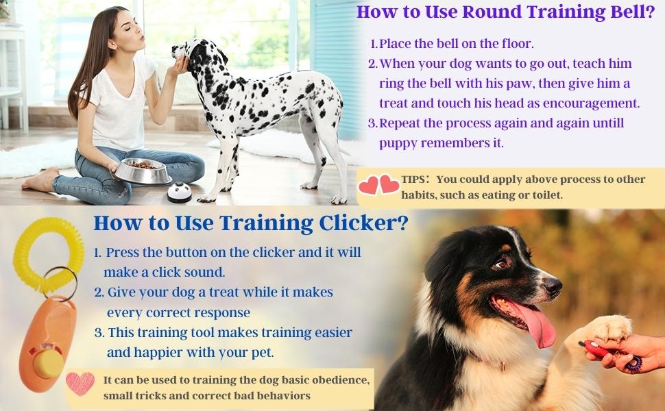 Dog Training Bell & Traning Clicker