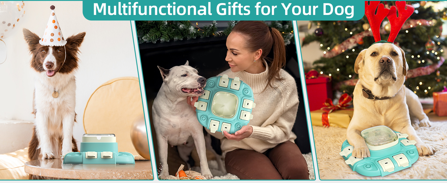 Multifunctional Gifts for Your Dog