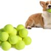 1pc Large Interactive Tennis Ball Dog Toy - Durable Rubber Training Ball for, Exercise, and Mental Stimulation 9.5in 7in 2.75in Diameter, Suitable for Medium to Large Breed Dogs (2.75in)