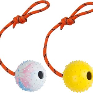 2 Pack Dog Ball, K9 Ball, Solid Rubber Ball on Rope for Reward, Fetch, Play (7cm)