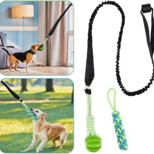 Dog Chew Toys, Flirt Pole for Dogs, Indoor Outdoor Dog Toys, Tug of War Dog Training Toy, Bungee Hanging Ball Tug, Pull Toy for Small to Large Dogs, Resistant Dog Tree Tug Toy, Spring Pole Dog Rope