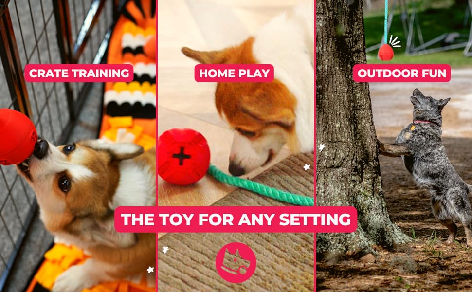 Dog Toy for Crate training, home play and outdoor 