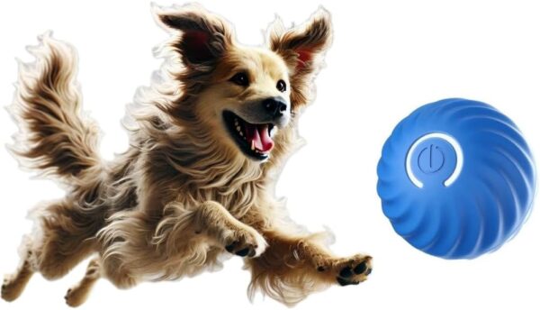 Interactive Rolling Dog Ball, Dog Toys 2.2 inch, Dog Enrichment Balls, Automatic Rolling Ball, Training Pet Toys, Durable Active Rolling Ball, Moving Bouncing Rotating Ball for Small/Medium Dogs, Blue