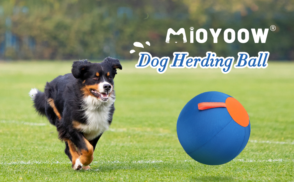 Dog Herding Ball