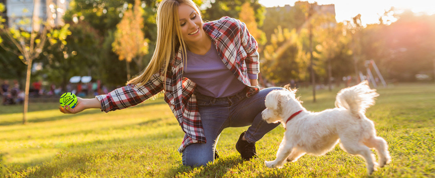 giggle ball for dogs