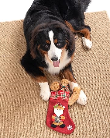 dog toys for aggressive chewers