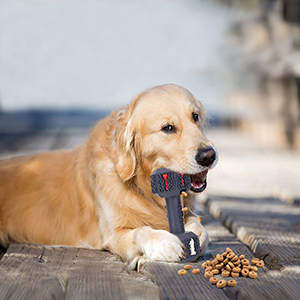 dog chew toys