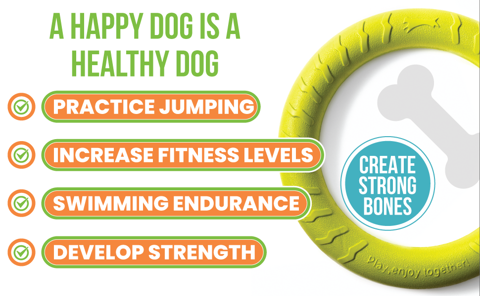 dog ring happy play exercise swim jumping endurance