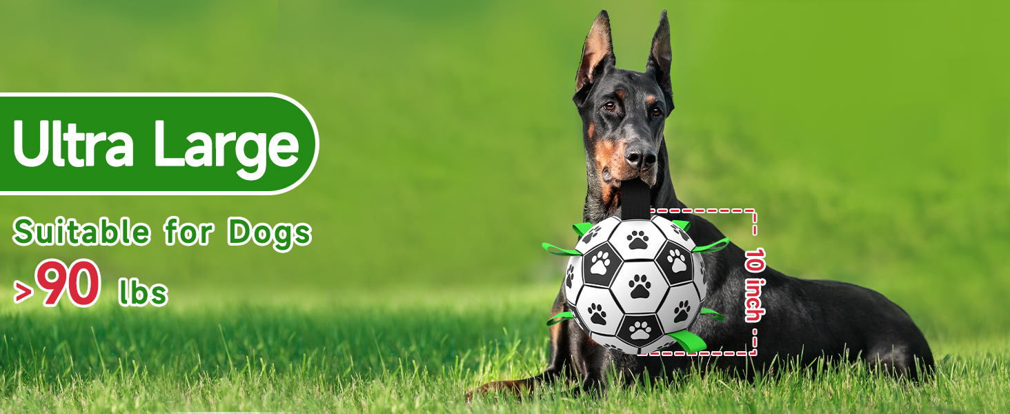 What Dog Soccer Ball Suitable Size For Dog