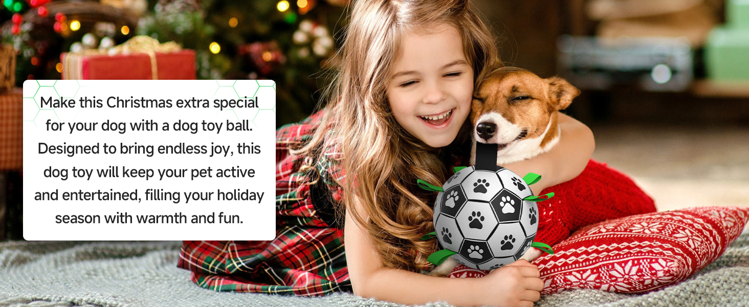 Perfect Gifts for Dogs